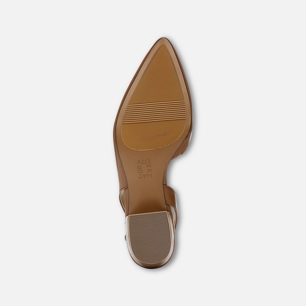 Naturalizer Banks Pointed Toe Flat - English Tea Leather Naturalizer Banks Pointed Toe Flat - English Tea Leather